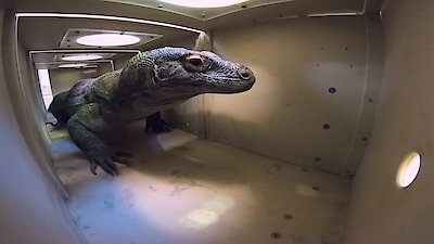 Secrets of the Zoo Season 4 Episode 8