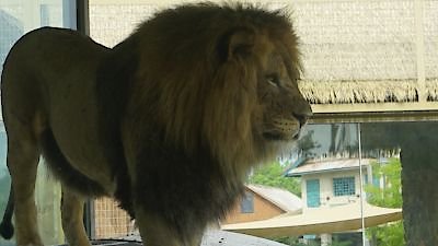 Secrets of the Zoo Season 5 Episode 8