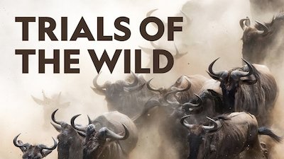 Trials of the Wild Season 1 Episode 6