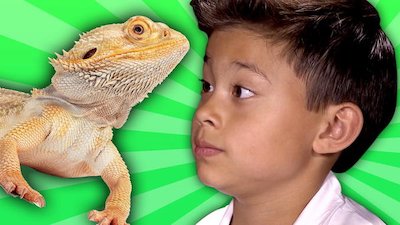 pocket.watch EvanTubeHD Ultimate mishmash Season 1 Episode 9