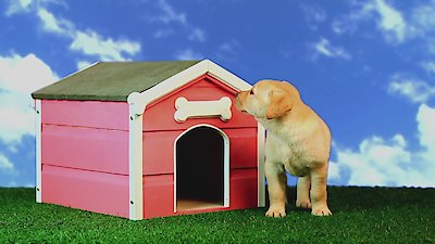 Zoofari Season 1 Episode 10