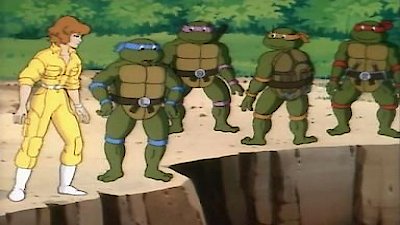 Teenage Mutant Ninja Turtles (1987) Season 3 Episode 10