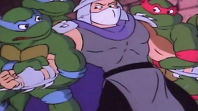 Teenage Mutant Ninja Turtles (1987) Season 3 Episode 18