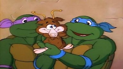 Teenage Mutant Ninja Turtles (1987) Season 3 Episode 41