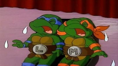 Teenage Mutant Ninja Turtles (1987) Season 4 Episode 13