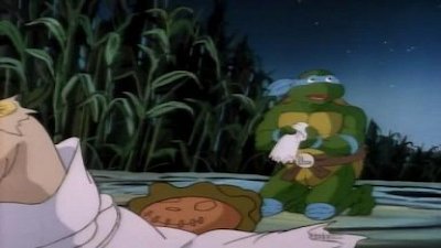 Teenage Mutant Ninja Turtles (1987) Season 4 Episode 35