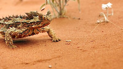 Modern Dinosaurs Season 1 Episode 3