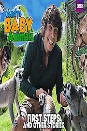 Andy's Baby Animals