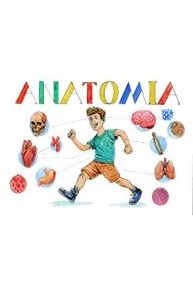 Anatomia