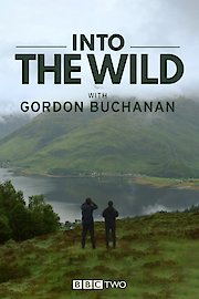 Into the Wild with Gordon Buchanan