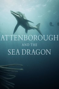 Attenborough and The Sea Dragon
