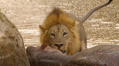 The Big Dry Season 1 Episode 3