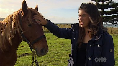 Keeping up with the Kaimanawas Season 1 Episode 3