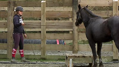 Keeping up with the Kaimanawas Season 1 Episode 5