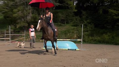 Keeping up with the Kaimanawas Season 1 Episode 7