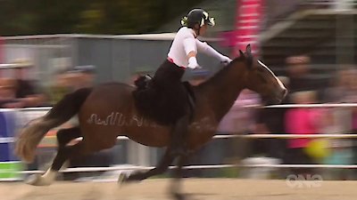 Keeping up with the Kaimanawas Season 1 Episode 8