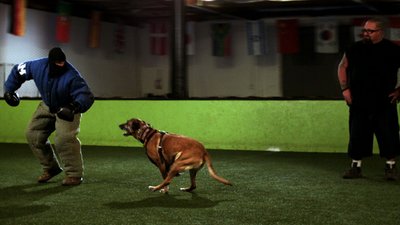 Auction Hunters Season 3 Episode 23