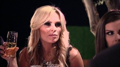 The Real Housewives of Orange County Season 7 Episode 20