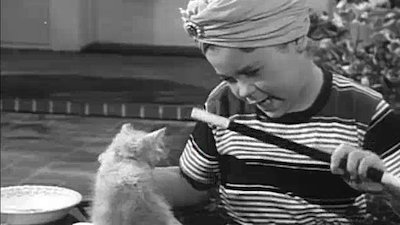 Father Knows Best Season 2 Episode 7