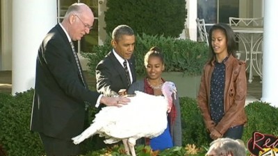 Red Eye Season 2012 Episode 1331