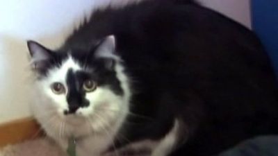 Red Eye Season 2014 Episode 1611