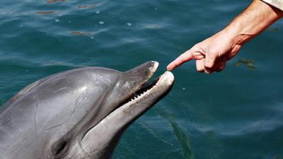 Red Eye Season 2014 Episode 1622