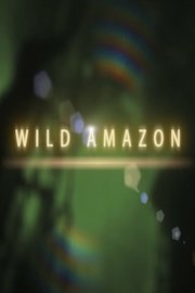 Wild Amazon