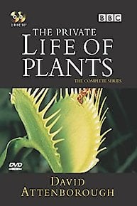 The Private Life of Plants