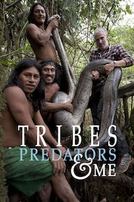 Tribes, Predators and Me