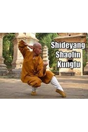 Shideyang Shaolin Kungfu