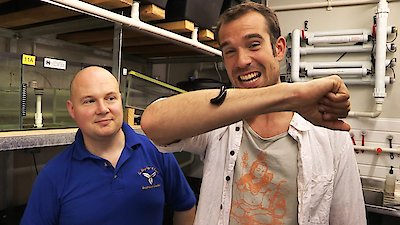 Operation Ouch Season 1 Episode 3