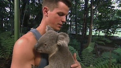 The Real World Season 12 Episode 17