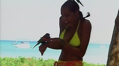 The Real World Season 12 Episode 18