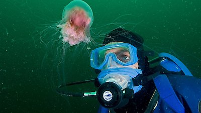 The Real World Season 15 Episode 19