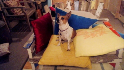 The Real World Season 28 Episode 9