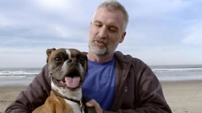 Amanda to the Rescue Season 1 Episode 5