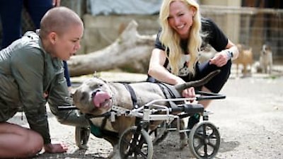 Amanda to the Rescue Season 1 Episode 6