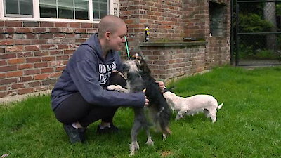 Amanda to the Rescue Season 1 Episode 8