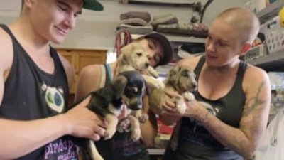 Amanda to the Rescue Season 1 Episode 9