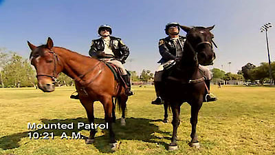 Reno 911! Season 4 Episode 11