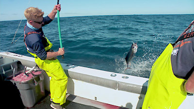 Battlefish Season 1 Episode 6