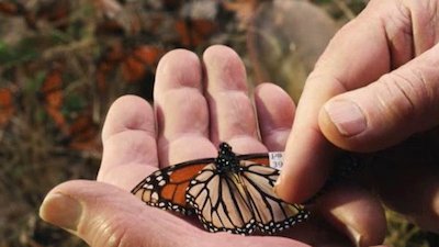 Aventuras con Dylan Dreyer Season 2 Episode 1