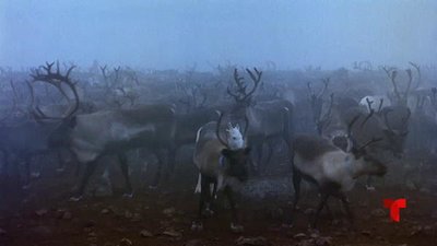 Aventuras con Dylan Dreyer Season 2 Episode 8