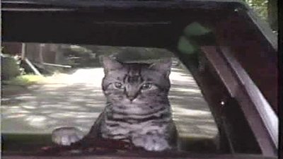 Saturday Night Live Season 15 Episode 20