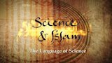 The Language Of Science