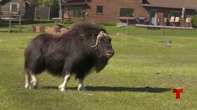 El Viajero con Josh Garcia Season 2 Episode 6