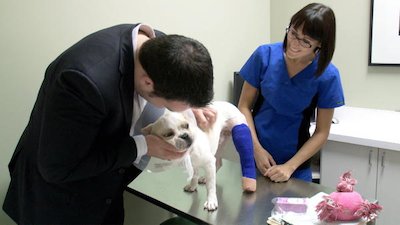 Vets Saving Pets Season 1 Episode 19