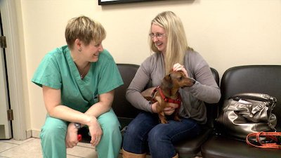 Vets Saving Pets Season 1 Episode 23