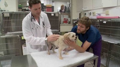 Vets Saving Pets Season 1 Episode 25