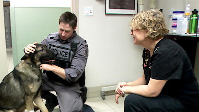 Vets Saving Pets Season 1 Episode 31